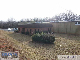 11_20130212_151233medium
